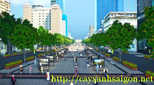 TP HCM trồng cây lộc vừng ở quảng trường đi bộ Nguyễn Huệ